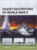 Image of Soviet Destroyers of World War II